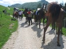 wanderreiten_2009_64
