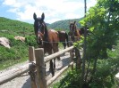 wanderreiten_2009_76