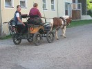 wanderreiten_2009_79