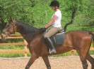 wanderreiten_2009_90