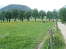 wanderreiten_2009_94