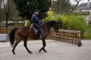geburtstagsritt_fred_009