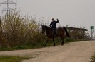 geburtstagsritt_fred_037