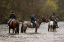 geburtstagsritt_fred_044