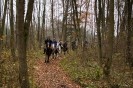 geburtstagsritt_fred_057
