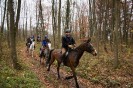 geburtstagsritt_fred_058