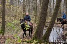 geburtstagsritt_fred_061