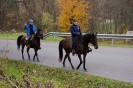 geburtstagsritt_fred_076