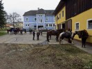 geburtstagsritt_fred_092