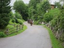 img_4339
