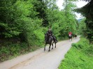 img_4354