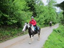 img_4355