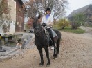 teichalm_wanderreiten_03