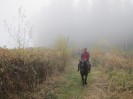 teichalm_wanderreiten_06