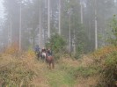 teichalm_wanderreiten_07