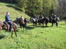 teichalm_wanderreiten_10