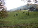 teichalm_wanderreiten_12