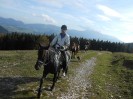 teichalm_wanderreiten_14