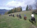 teichalm_wanderreiten_20