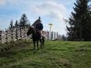 teichalm_wanderreiten_23