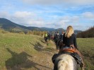 teichalm_wanderreiten_25