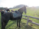 teichalm_wanderreiten_27