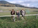 teichalm_wanderreiten_29