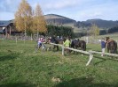 teichalm_wanderreiten_30