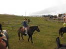 teichalm_wanderreiten_32