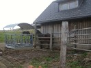 teichalm_wanderreiten_36