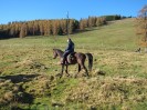 teichalm_wanderreiten_44