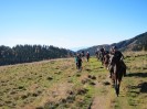 teichalm_wanderreiten_48