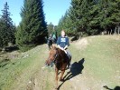 teichalm_wanderreiten_50