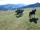 teichalm_wanderreiten_53