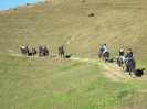 teichalm_wanderreiten_59