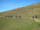 teichalm_wanderreiten_62