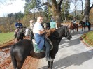 teichalm_wanderreiten_78
